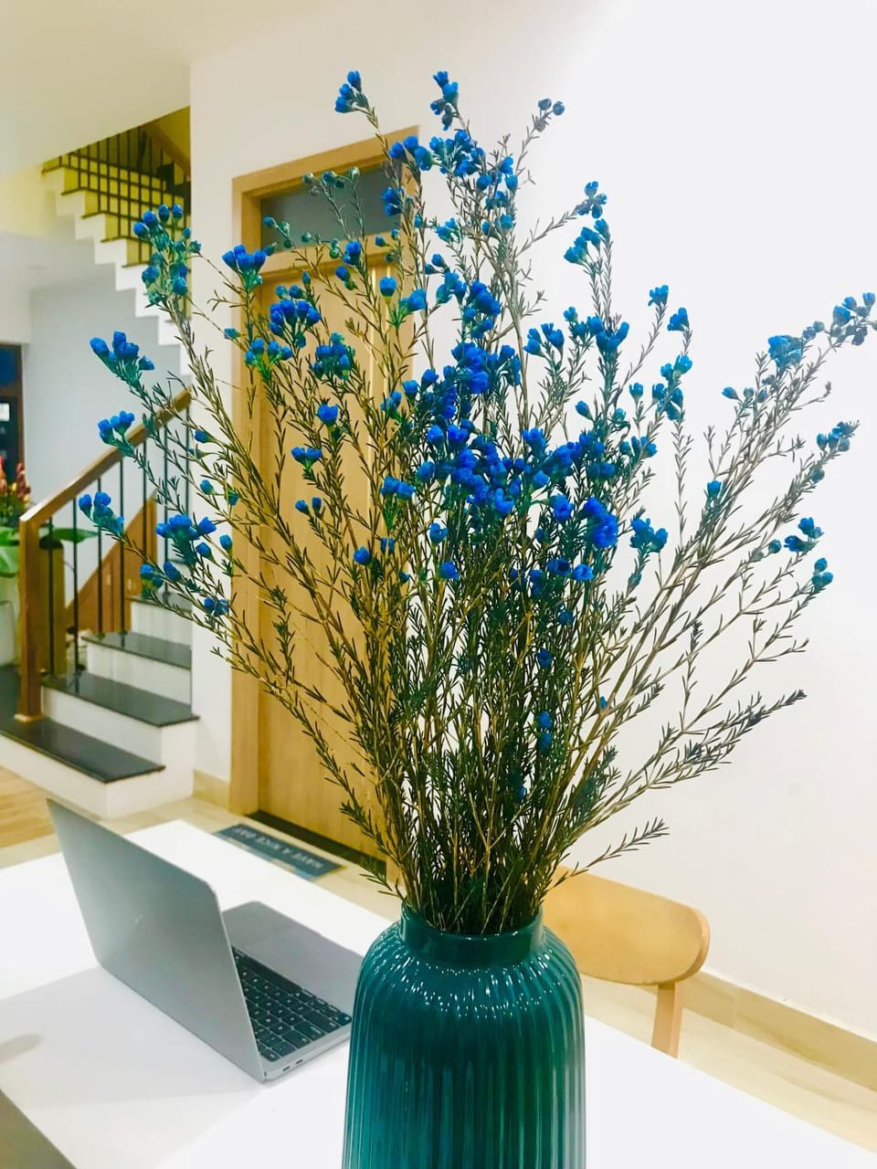 Mie's Homestay Vacation rental in Da Nang