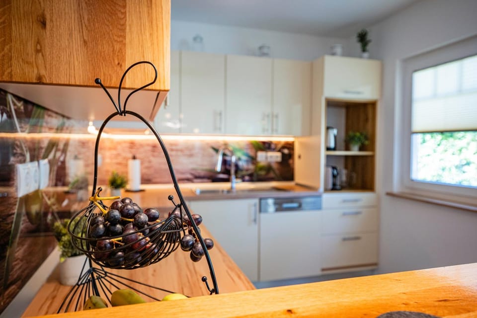 Kitchen or kitchenette, dishwasher, stove
