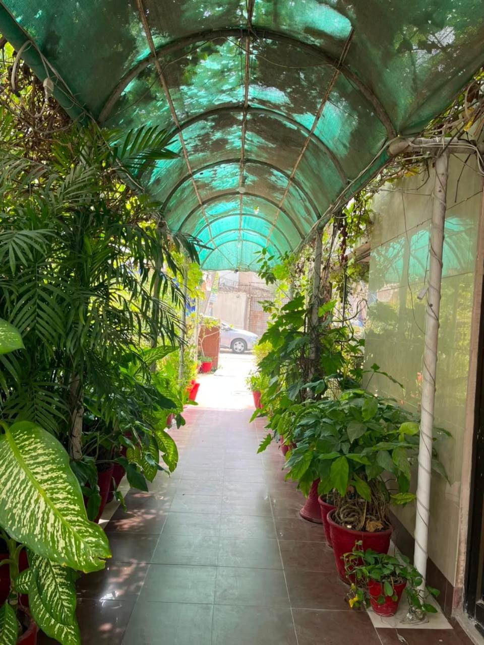 Garden view