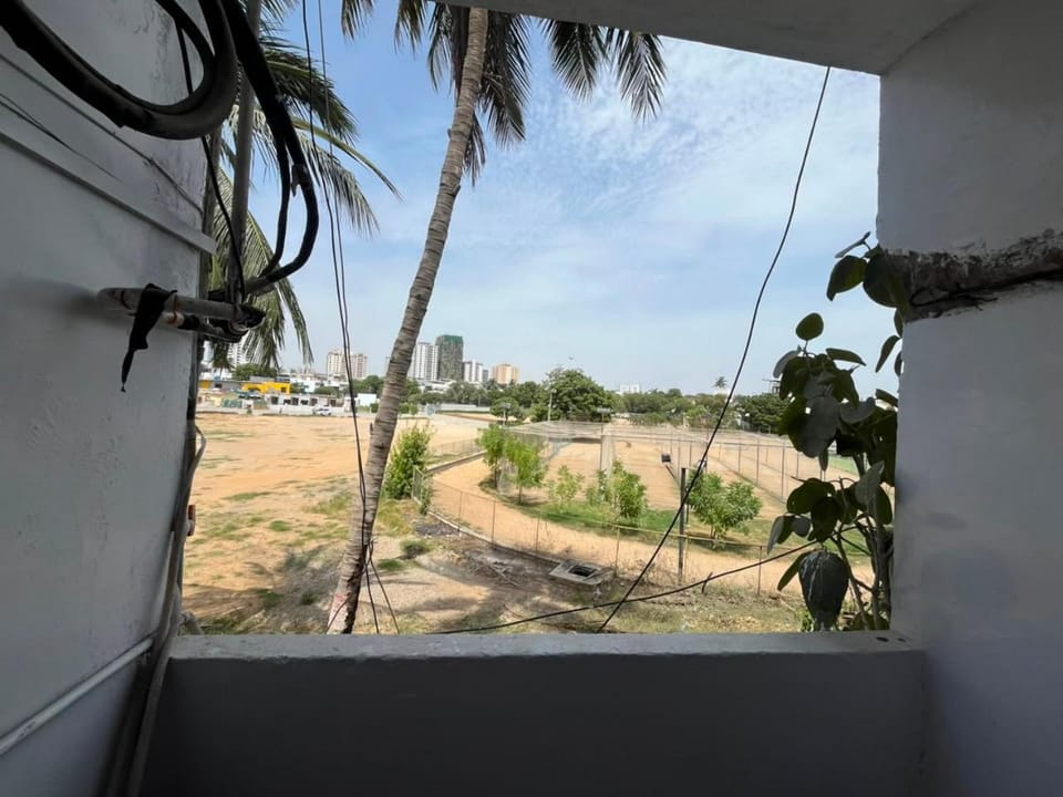 Day, Garden, Garden view, Inner courtyard view