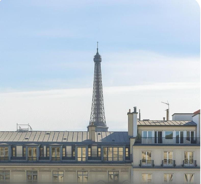 Sublime suite Avenue des Champs-Élysées Apartment in Paris