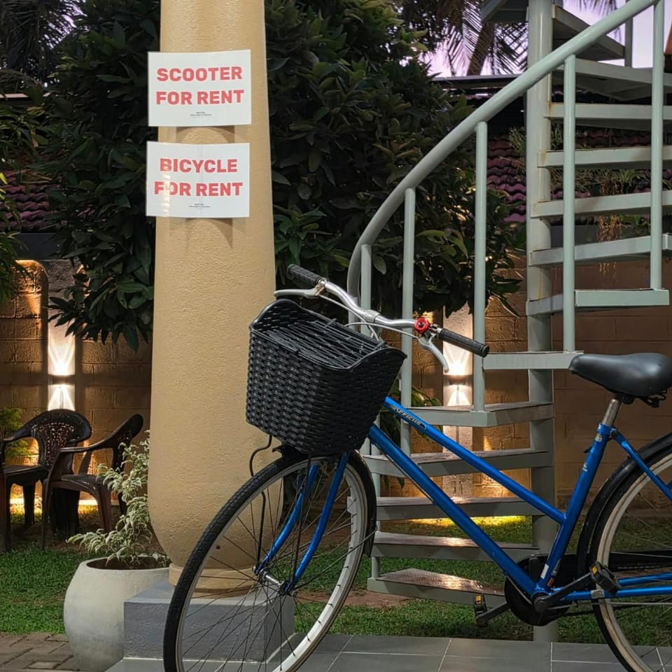 Day, Cycling