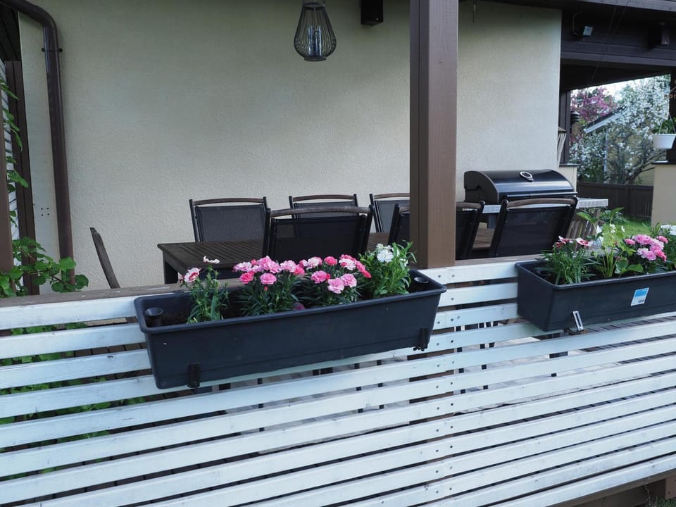 Patio, Garden