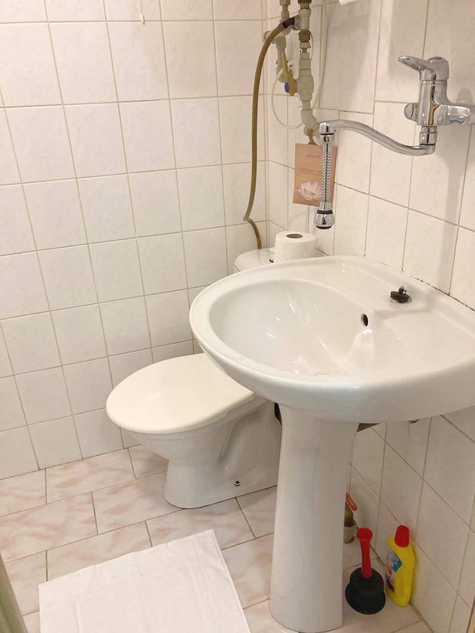 Toilet, Bathroom