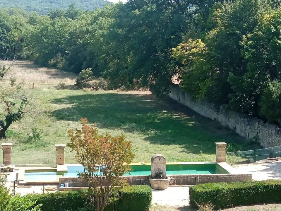 Garden view, Pool view, Swimming pool
