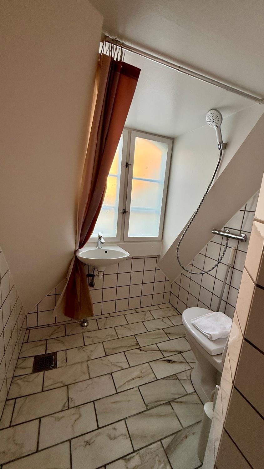 Shower, Toilet, Bathroom