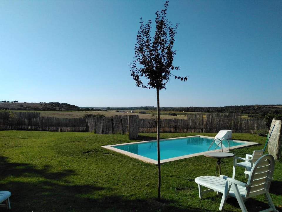Garden, Garden view, Swimming pool