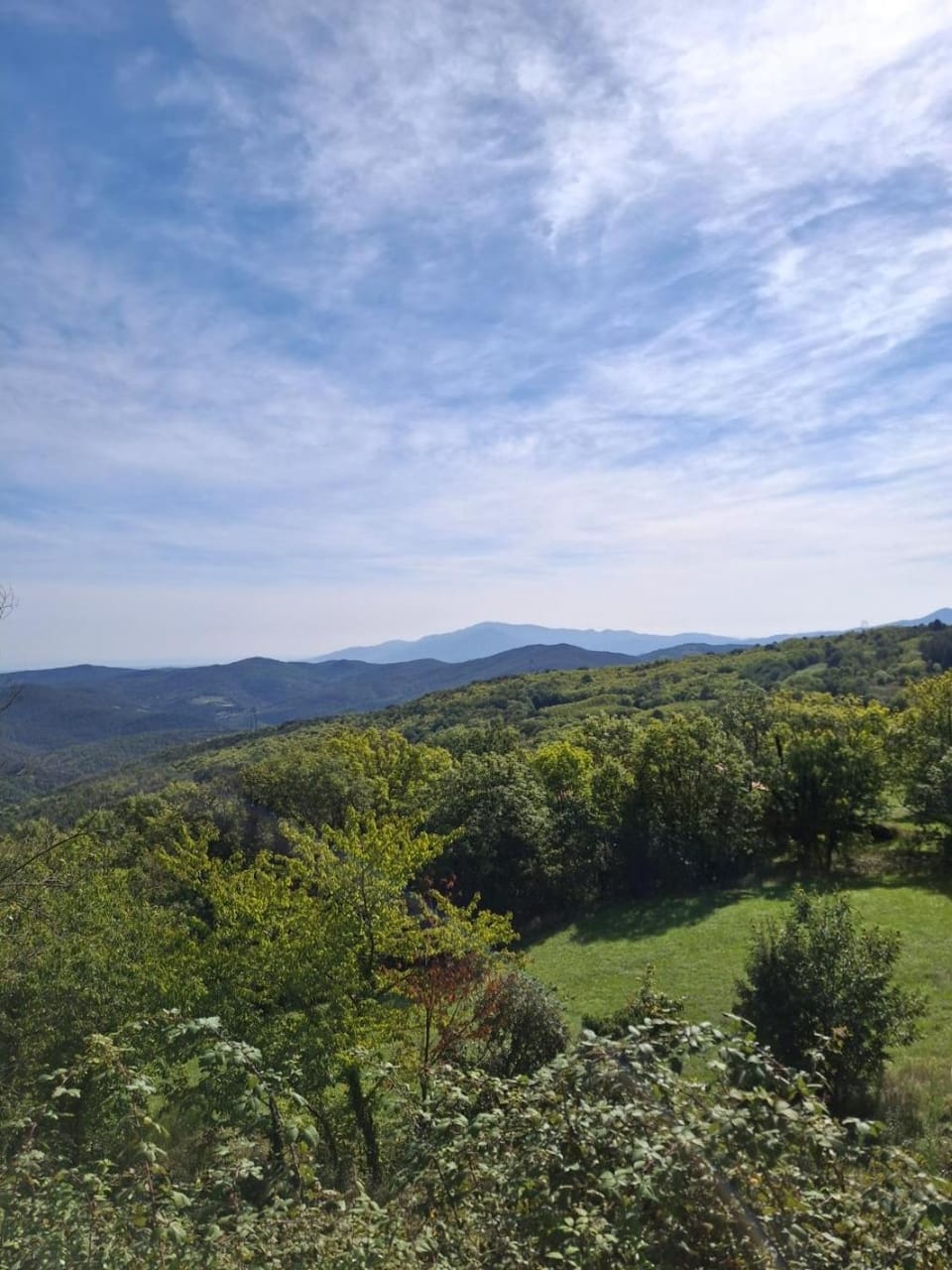 Mountain view