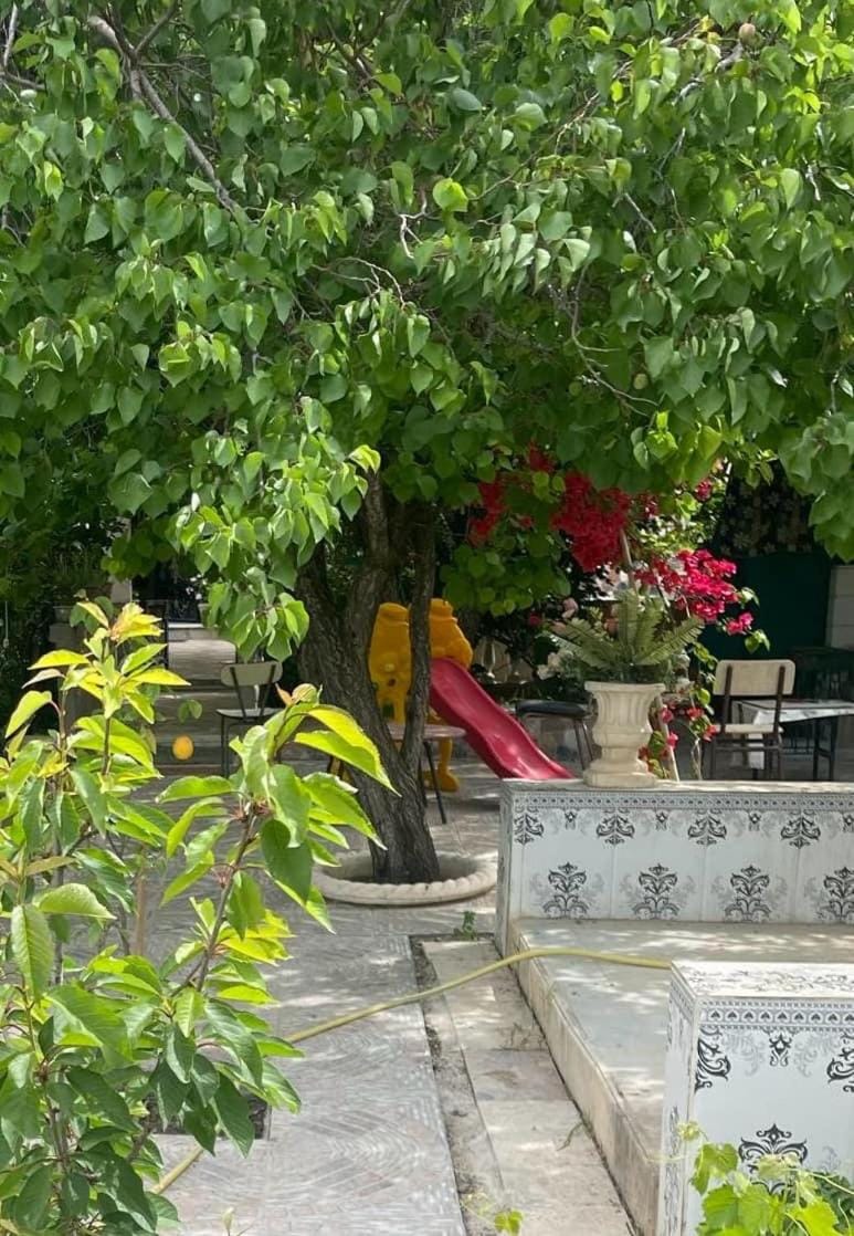Duplexe familiale avec jardin Apartment in Algeria