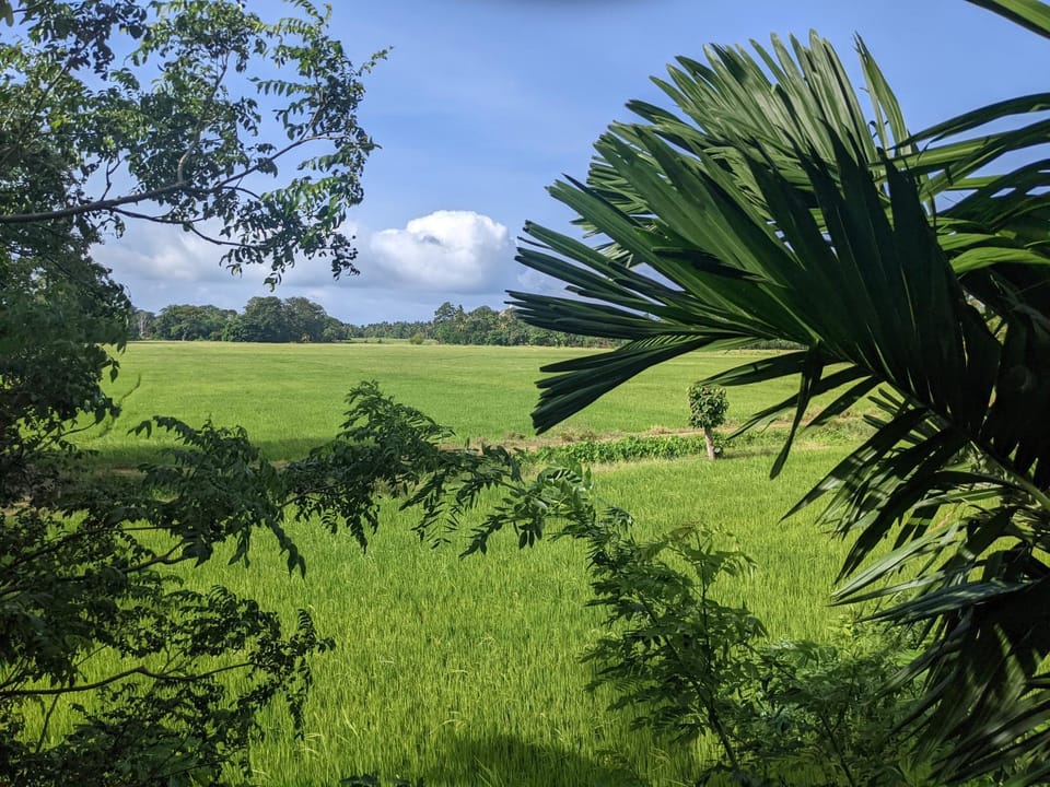 Green View Holiday Home House in Southern Province