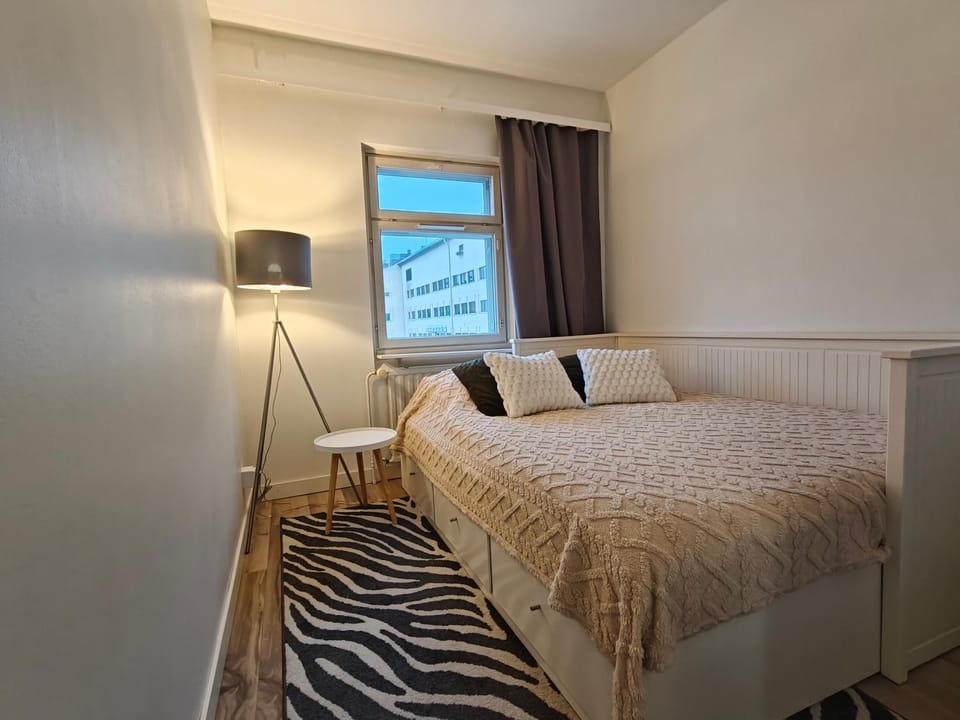 Keskustan kolmio Apartment in Finland