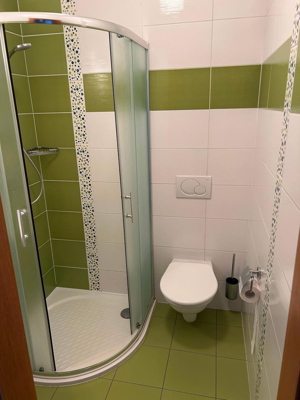 Shower, Toilet