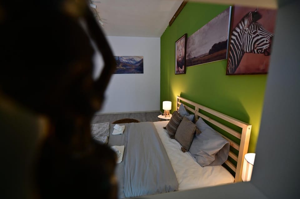 FLH - Lion's Nest Apartment in Sibiu