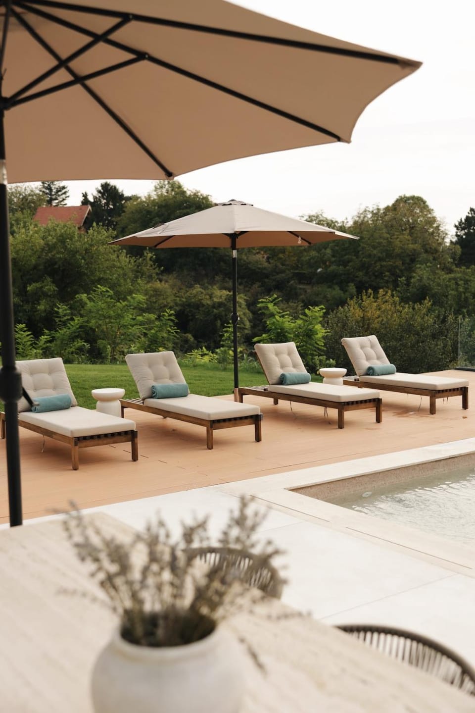 Day, Garden, Garden view, Pool view, Swimming pool, sunbed