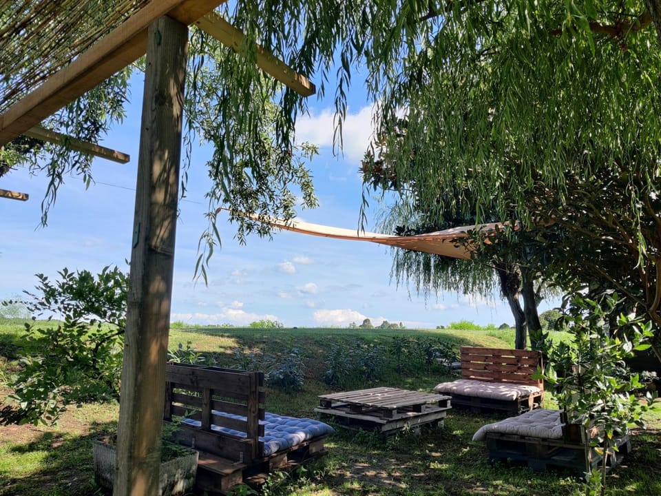 Day, Natural landscape, Garden, Garden view, River view, Inner courtyard view