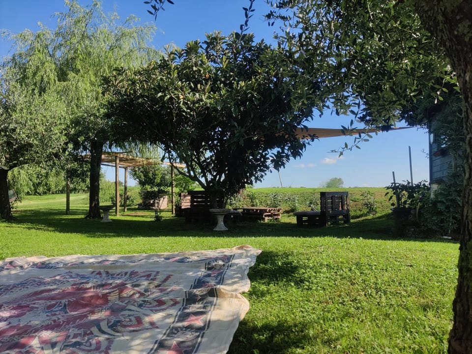 Day, Natural landscape, Garden, Garden view, River view, Inner courtyard view