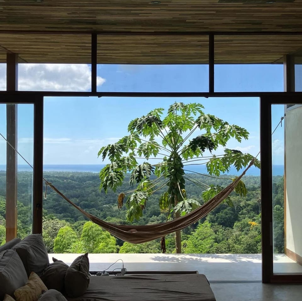 View (from property/room)