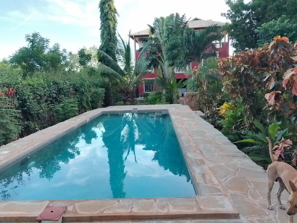Garden view, Swimming pool