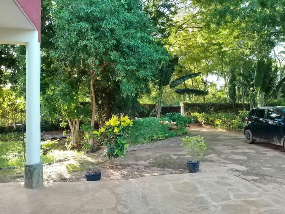 Garden, Parking