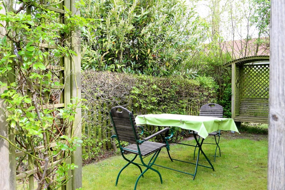 Patio, Garden, Garden view
