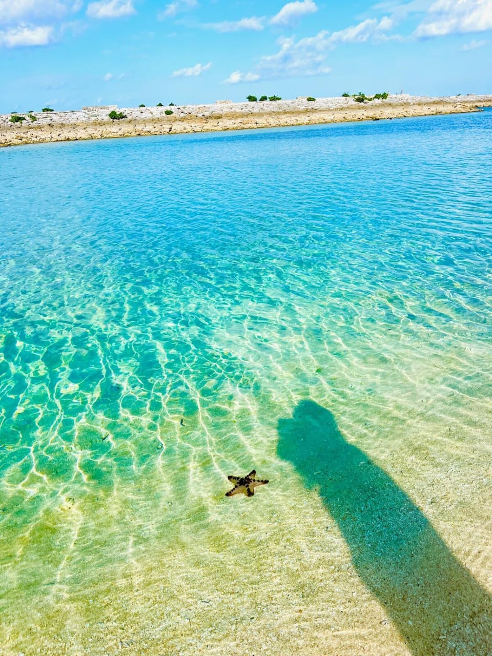 シートピア恩納村Ocean 贅沢快適なデザイナーズ空間と蒼い海 Apartment in Okinawa Prefecture