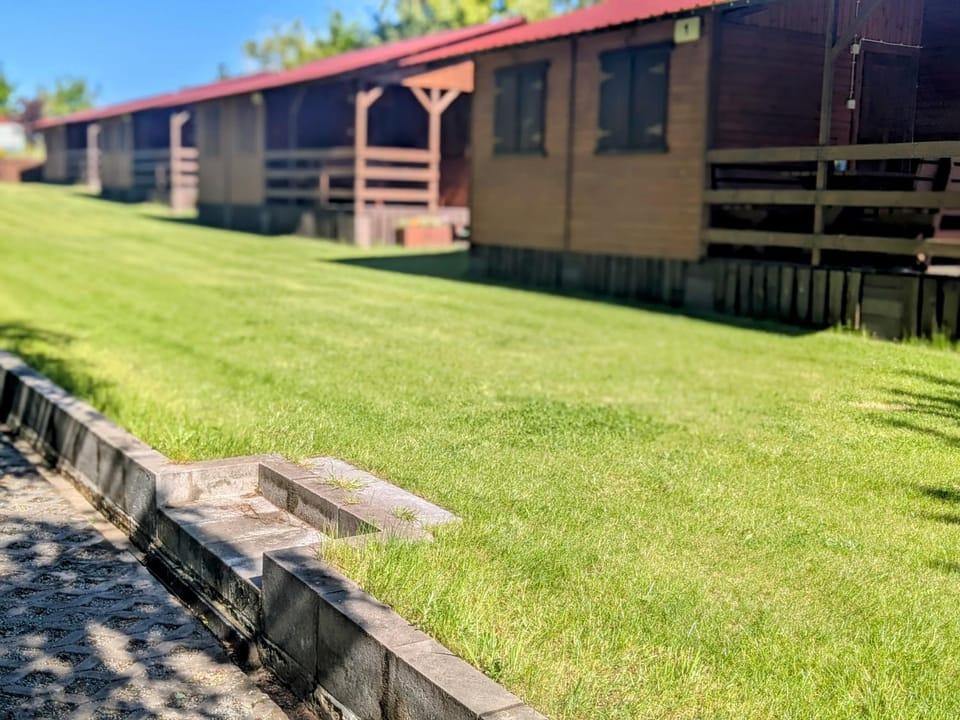 Property building, Garden, Garden view