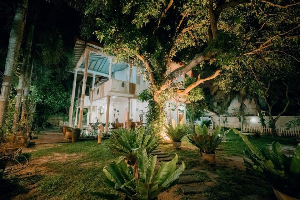 Property building, Night, Natural landscape, Garden, Garden view