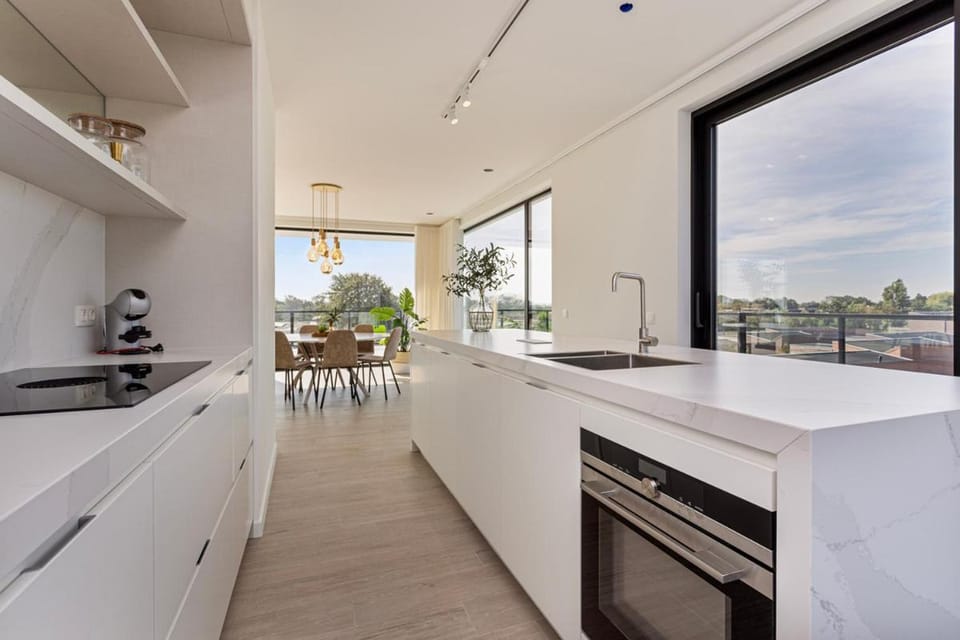 Kitchen or kitchenette, dishwasher, stove