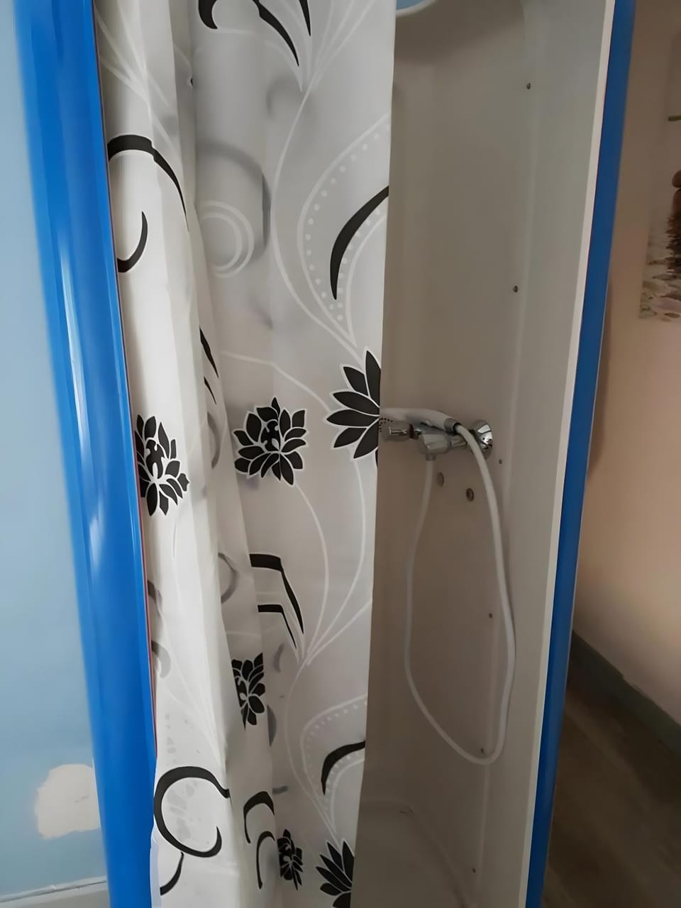 Bathroom, Living room