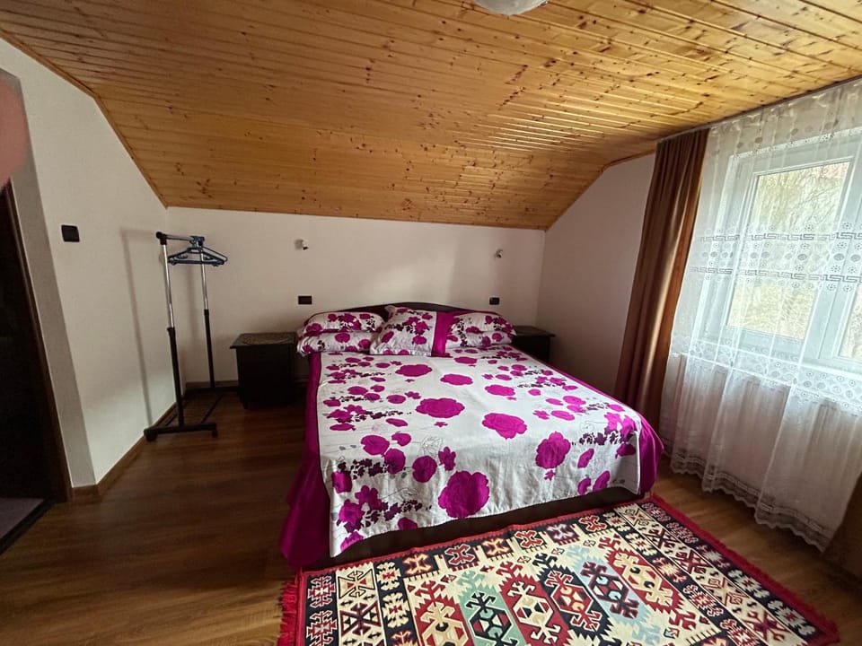Casa Eliana Vacation rental in Romania
