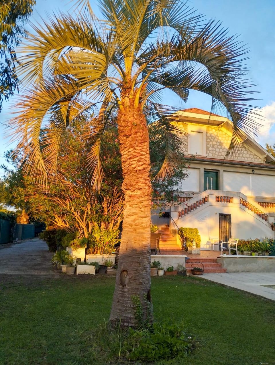 Property building, Day, Garden view