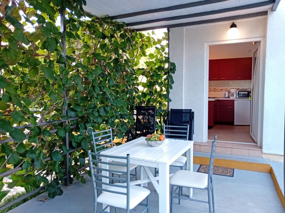 Balcony/Terrace, Kitchen or kitchenette
