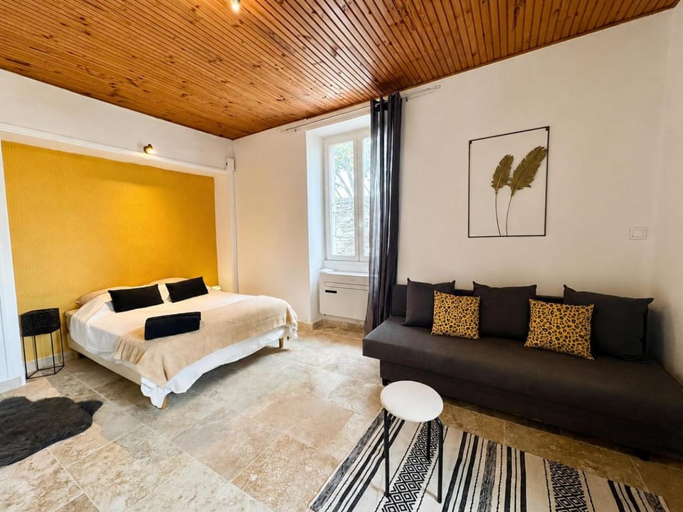 Grand studio centre historique n2 Apartment in Villeneuve-lès-Avignon