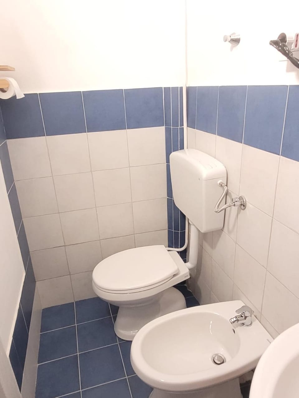 Shower, Toilet, Bathroom, bidet