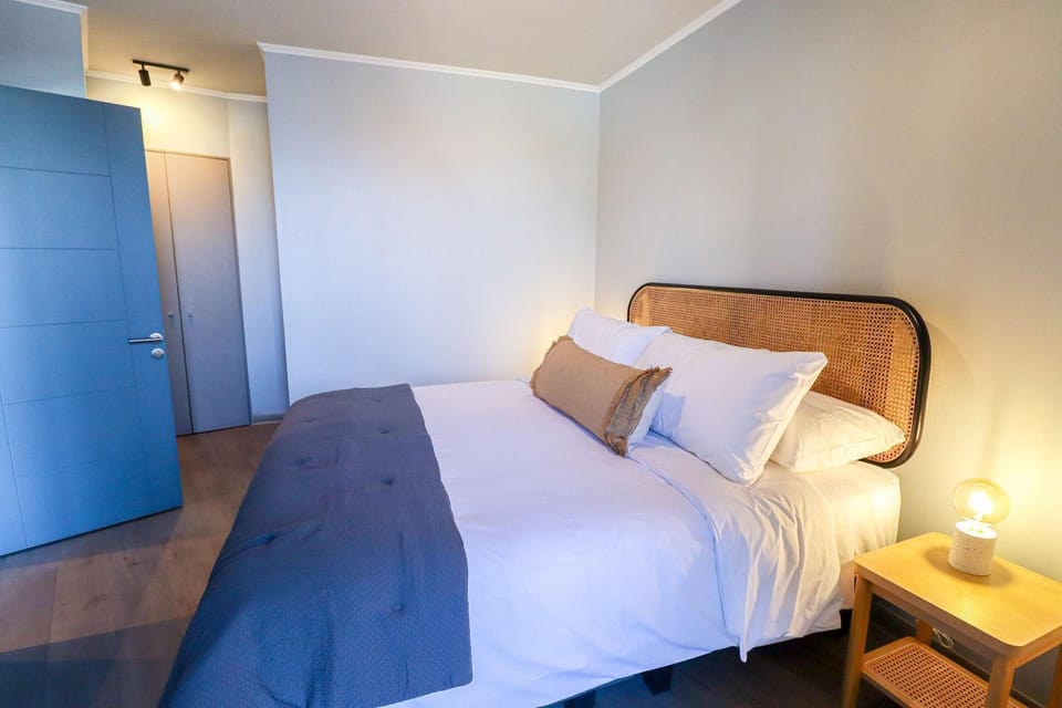 HOM I Wifi BarrioItalia Parking I Smartv Providencia I FB 1 0 3 Apartment in Providencia
