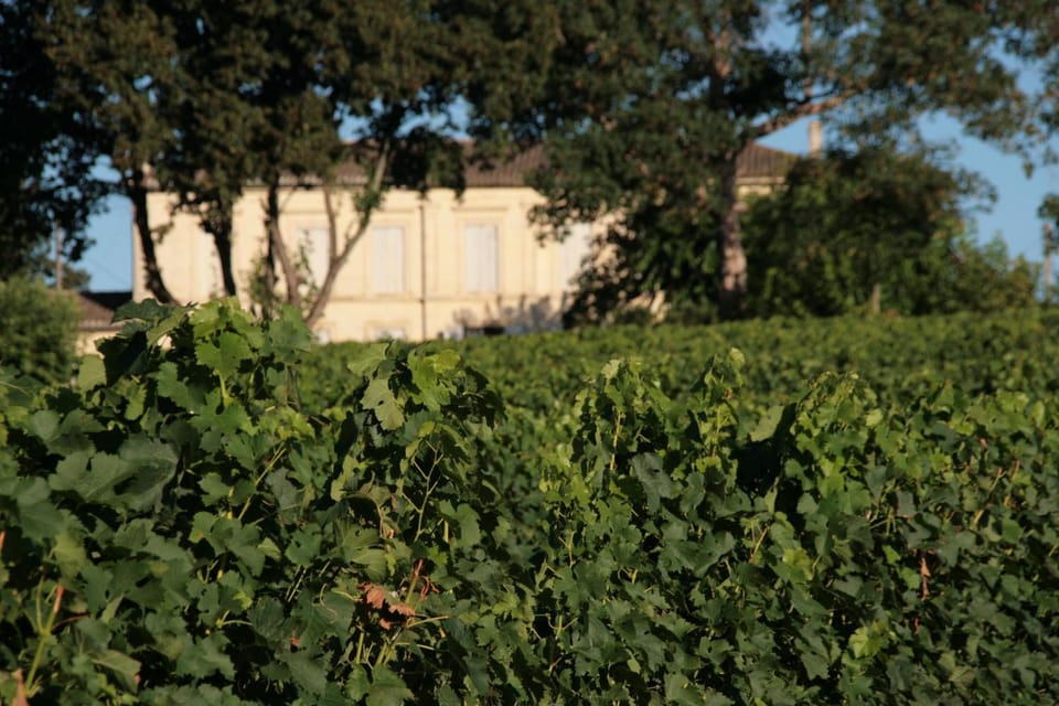 Chambres d'hôtes proche St Emilion avec petit déjeuner Bed and Breakfast in Nouvelle-Aquitaine