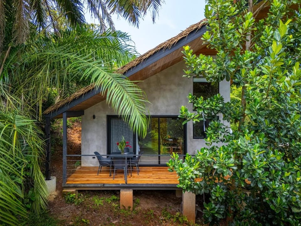 Property building, Patio, Spring, Day, Garden, Garden view