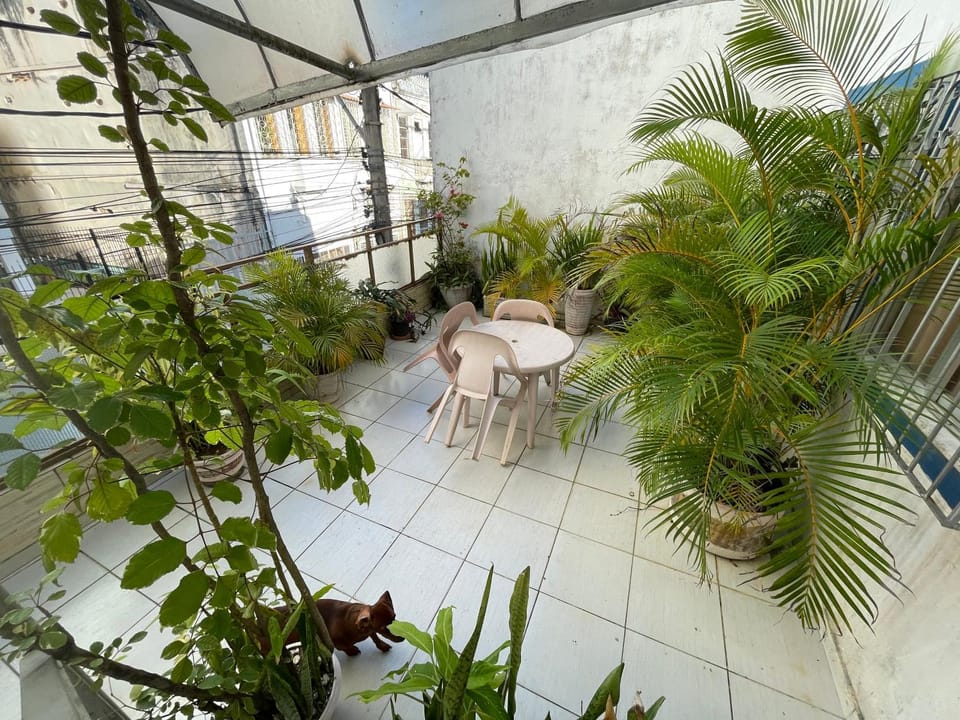 Patio, Garden