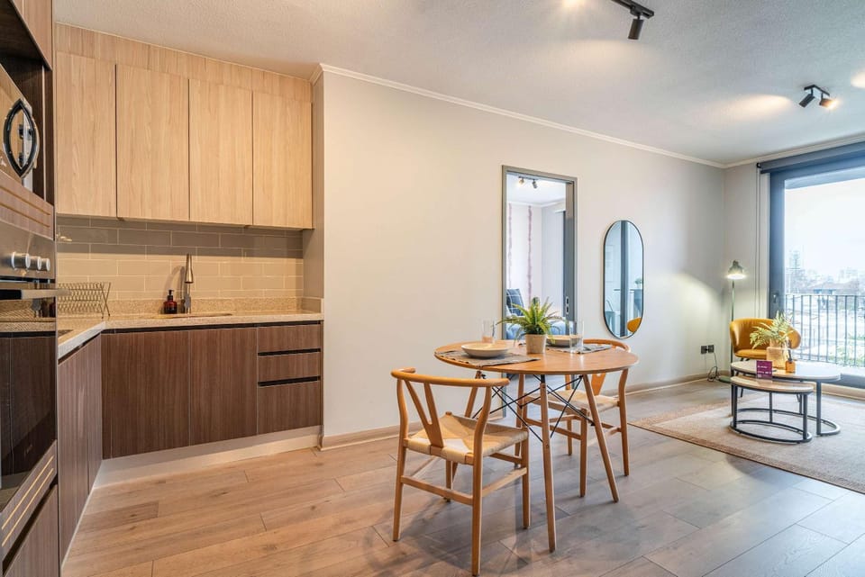 HOM I Terraza BarrioItalia Providencia Parking I FB 7 0 3 Apartment in Providencia