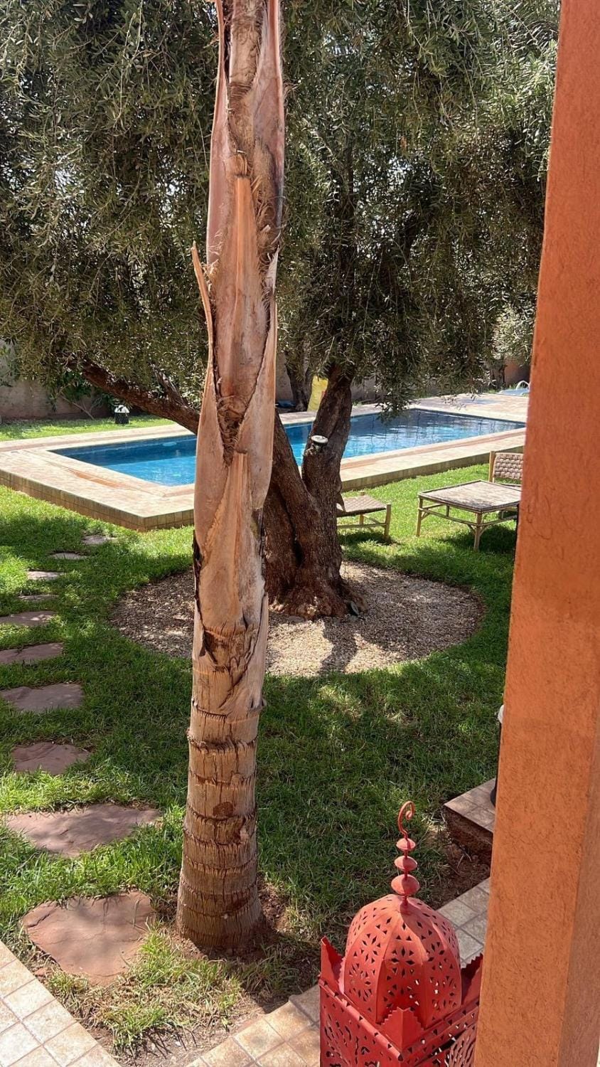 Spacious and comfortable villa Villa in Marrakesh