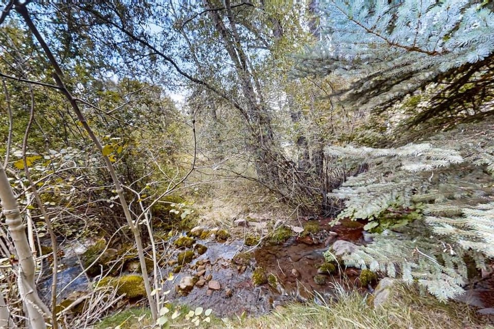 Snowbound and Streamside House in Vail