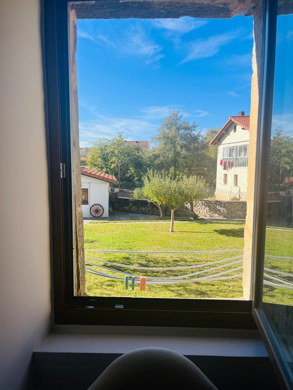 Garden view