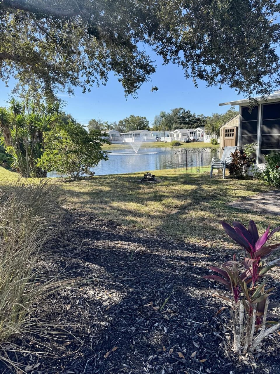 Lake view