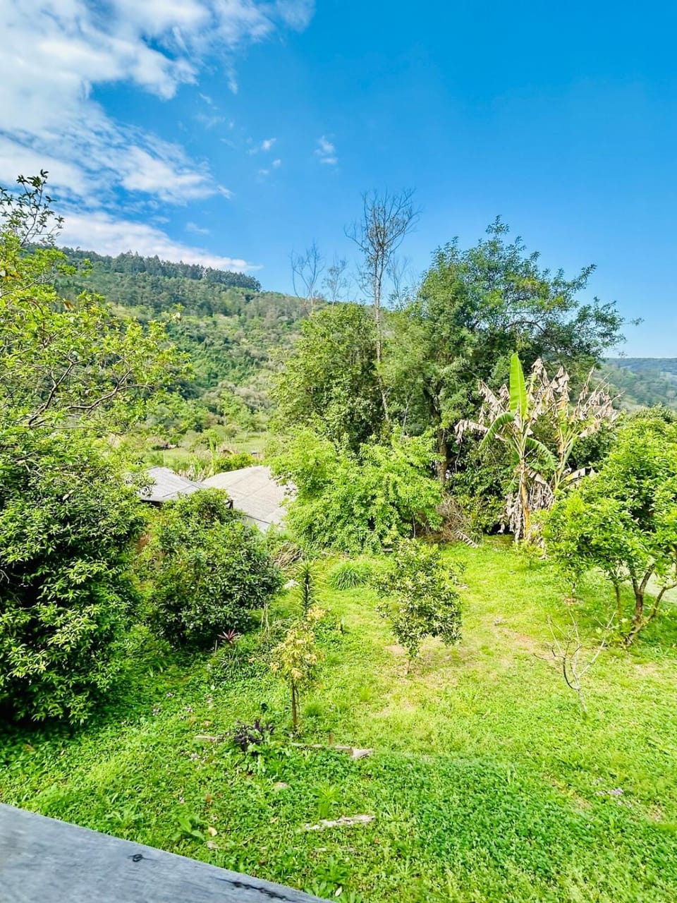 Natural landscape