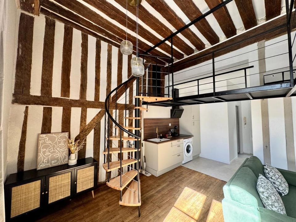 La Mezzanine Bourgogne Apartment in Orléans