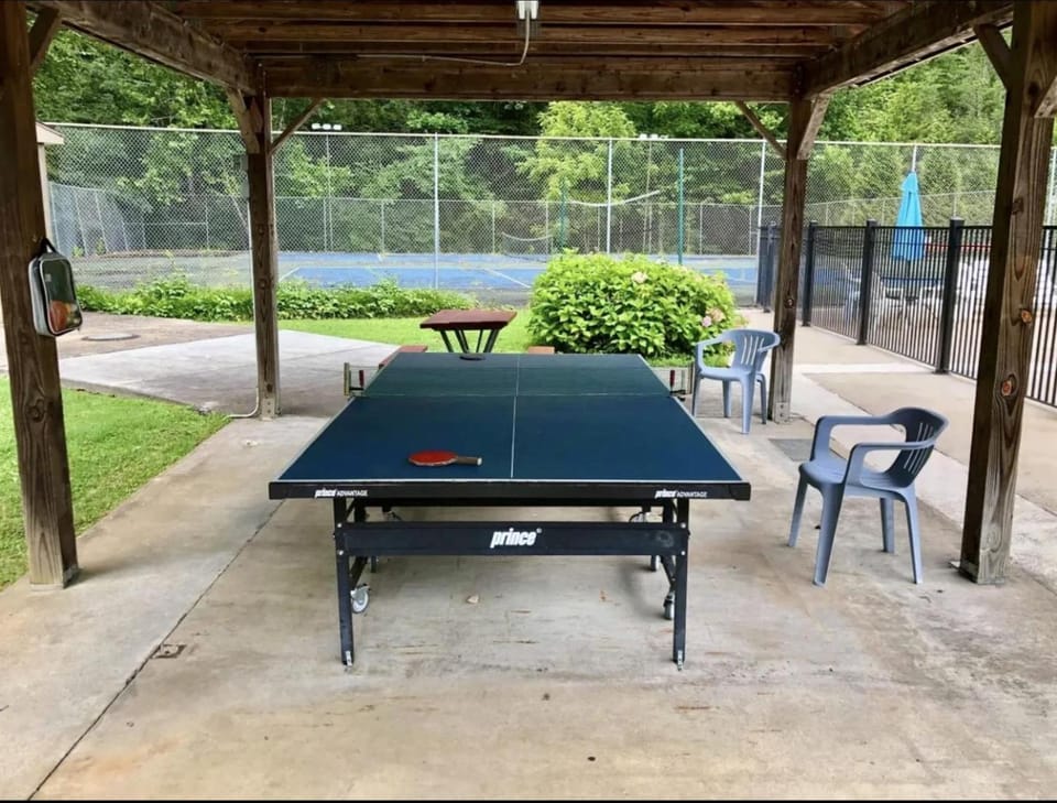 Day, Table tennis, Table tennis