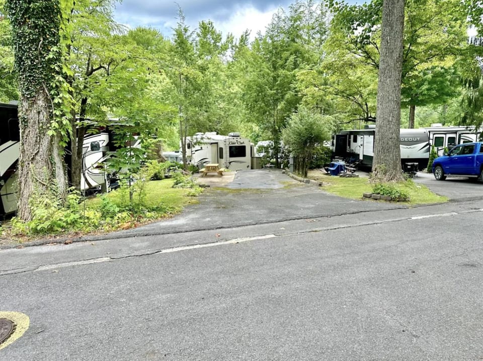 Day, Neighbourhood, Natural landscape, Garden, Garden view, Street view, Location, Parking