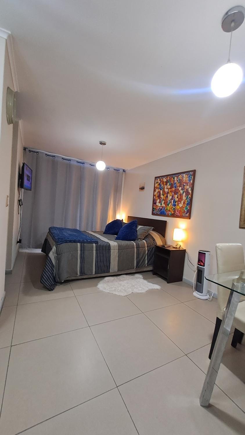 Acogedor depto Loft Studio Apartment in Santiago