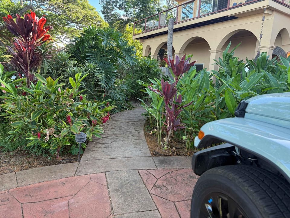 Beachfront B&B w Free Breakfast, AC & Sunset View Inn in Kapalua