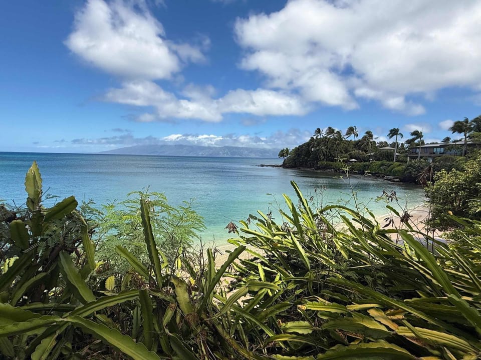 Ocean-Facing Maui B&B Room - Breakfast, BBQ & AC Inn in Kapalua